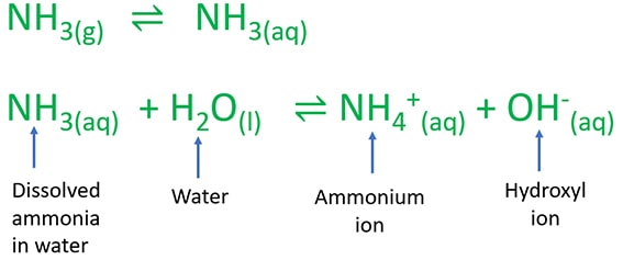 ammonia + water reaction - NH3 + H2O